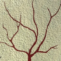 Gallery 1 - Red Twig