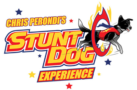 Chris Perondi's Stunt Dog Experience