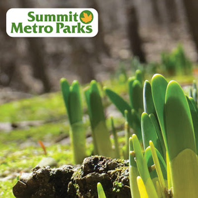 Summit Metro Parks Adventures and Programs