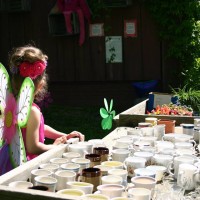Gallery 1 - Fairy Days at Heritage Farms Peninsula