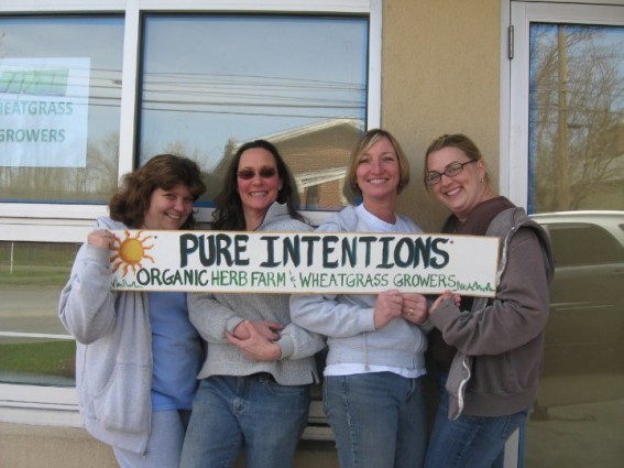 Gallery 4 - Pure Intentions Wheatgrass & School of Energy