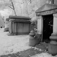Gallery 7 - Glendale Cemetery