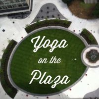 Gallery 5 - Akron Yoga and Wellness