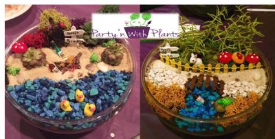 Fairlawn Fairy Garden workshop: Join Party'n With Plants