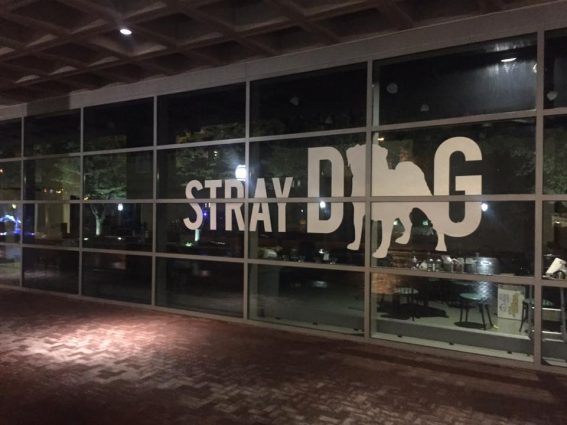 Gallery 9 - Stray Dog Cafe