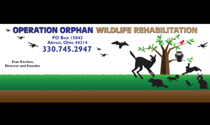Gallery 1 - Operation Orphan Wildlife Rescue