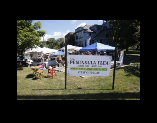 Gallery 9 - Peninsula Flea