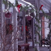 Gallery 9 - Christmas in Peninsula