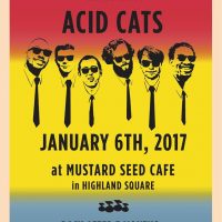 Gallery 5 - Acid Cats