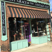 Gallery 1 - GypsyGrace and The VintageGoat