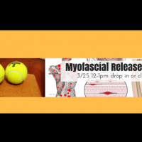 Myofascial Release Clinic