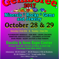 Gallery 1 - Annual Fall Gemboree