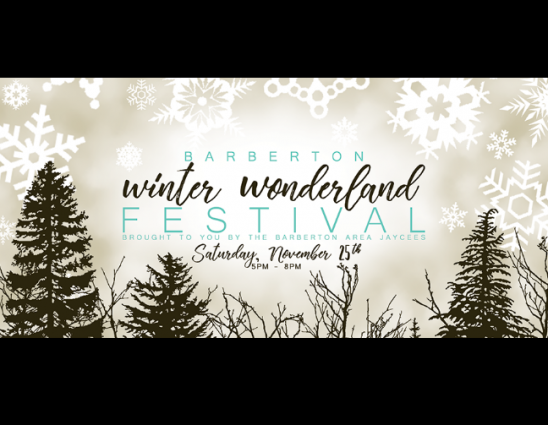 Gallery 1 - Barberton Winter Wonderland Festival