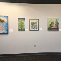 Gallery 2 - Trees I Have Known