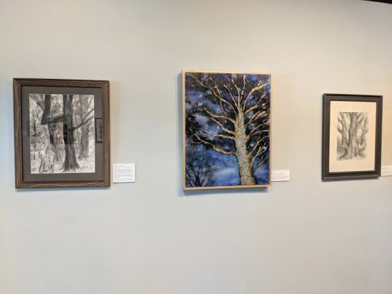 Gallery 5 - Trees I Have Known