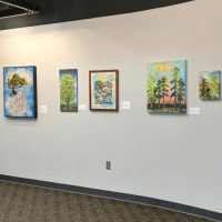 Gallery 8 - Trees I Have Known