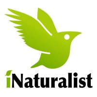 Nature Program for Homeschoolers (Free!)