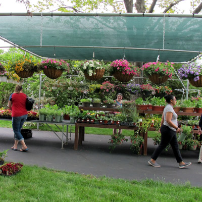 Gallery 1 - Stan Hywet Plant Sale