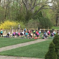 Gallery 1 - Yoga on the West Terrace
