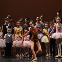 Gallery 2 - Ohio Conservatory of Ballet