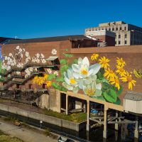 Gallery 3 - Downtown Akron Partnership