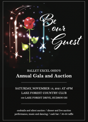 BALLET EXCEL OHIO’S Annual Gala and Auction