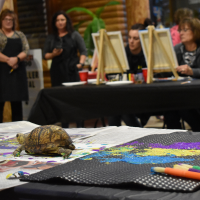 Wine and Paint at the Akron Zoo