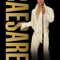 Gallery 3 - Elvis Tribute & Dinner Show- Starring Caesare Belvano