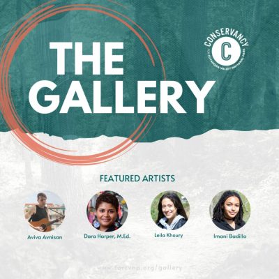 The Gallery presents Boston Activation Project Artists